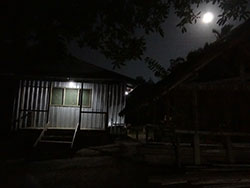 Gallery Image 01